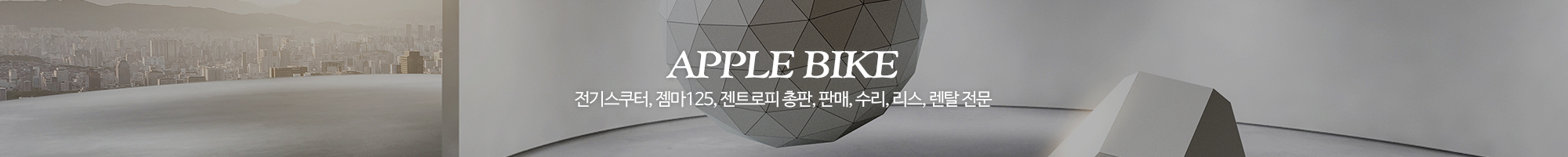 애플바이크_이미지pc